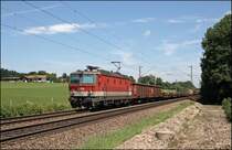 Bei Vogl geht es an einigen Wiesen vorbei. Die Innsbrucker 1144 223 (9181 1144 223-5) ist mit einem gemischten G�terzug nach Italien unterwegs. (10.07.2008)
