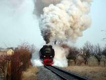 99 7242-3 im Februar 2004 kurz hinter dem Bahnhof Gernrode