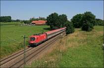 In der Mittagshitze des 11.07.2008 bringt die sehr saubere 1116 049 den EC 114  W�RTHERSEE , Klagenfurt Hbf - Dortmund Hbf, bei Bad Endorf nach M�nchen.
