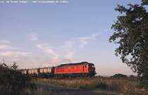 241 008 kreute in den letzten Sonnenstrahlen des 11.8.03 bei Dr�beck im Harz den Weg des Fotografen, um ihre Kalkwagen nach Blankenburg zu bringen, von wo aus sie - umgespannt auf BR 171 - nach R�beland gebracht wurden.