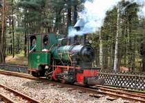 Dampf bei der Waldeisenbahn Muskau, 2006