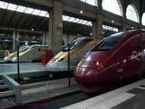 Vorn der TGV-PBKA 4341 als Thalys nach K�ln.
Hinter der Trennscheibe die drei TGV-TMST 3021+3206+3105 Eurostar f�r den Verkehr nach Grossbritannien.

Paris Gare du Nord
23.06.2007
