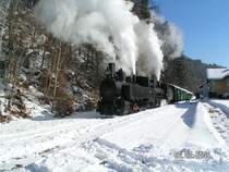 Dampfbummelzug des Club U44 (Weiz-Birkfeld).
<a href= http://www.bahnbilder.de/kauf  target= _blank ><img src= http://www.bahnbilder.de/counter/counter_new.php?key=335024393  alt= Bahnbilder.de  title= bahnbilder.de  border= 0 ></a>


