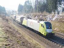 ES 64 U2-079 mit einem ziemlich kurzen G�terzug am 8.2.05 kurz vor der Reussbr�cke zwischen Rotkreuz und Oberr�ti