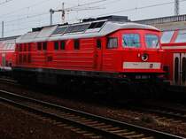 232 252 am 15.2.2009 in Flughafen Berlin-Sch�nefeld