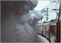 Achtung Kopf einziehen, R1621 bei der Einfahrt in Ospizio Bernina. (02.03.2009)