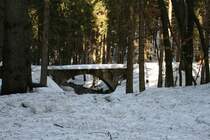 Mit Hilfe dieser kleinen Betonbr�cke �berwand die  Bimmelbahn einst die Wilzsch zwischen Sch�nheide-S�d und Carlsfeld bei Blechhammer.