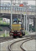 Die Diesellok 8259 durchf�hrt den Bahnhof Li�ge Guillemins am 28.06.08. (Jeanny)