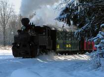 Der Flascherlzug in der Steiermark f�hrt von Preding nach Stainz. Eigendlich im Winter nicht in Betrieb f�hrte er am 8.2.2005 f�r die IGE Bahntouristik eine Sonderfahrt
