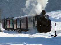 Der Flascherlzug in der Steiermark f�hrt von Preding nach Stainz. Eigendlich im Winter nicht in Betrieb f�hrte er am 8.2.2005 f�r die IGE Bahntouristik eine Sonderfahrt