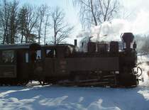 Der Flascherlzug in der Steiermark f�hrt von Preding nach Stainz. Eigendlich im Winter nicht in Betrieb f�hrte er am 8.2.2005 f�r die IGE Bahntouristik eine Sonderfahrt