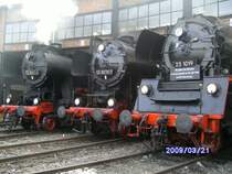 Ebenfalls zu Gast in Dresden 52 8047 und 52 8079 aus Nossen und die demn�chst 50j�hrige 23 1019 aus Cottbus.