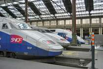  TGV 