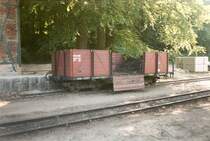 Ein mit Kohle beladener vierachsiger G�terwagen im Juni 1999 in G�hren.