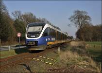 VT716 und VT701 sind als RB67 (NWB81556)  DER WARENDORFER , M�nster(Westf)Hbf - Bielefeld Hbf, eingeteilt und rollen die  STEIGUNG  zwischen Raestrup-Everswinkel und Warendorf hinab. (31.03.2009)

