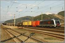 E-Lok 1216 025  World Record  f�hrt mit G�terzug 54575 von Gratwein-Gratkorn nach Villach. 
Knittelfeld 6.4.2009