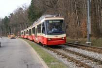 Bis etwa im Juni ist die Forchstrasse Richtung Z�rich zwischen Waldburg und Rehalp gesperrt. Dies n�tzte ich aus, um einige Bilder von der sonst dicht befahrenen Strasse aus zu schiessen: Be 4/6 61 und Be 4/6 63 fahren am 2.4.09 von Rehalp Richtung Waldburg.
