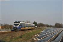 Der Sandboden im M�nsterland ist ideal f�r die Landwirtschaft. Neben Kartoffeln k�nnen in der n�he von Fl�ssen sogar Zuckerr�ben angebaut werden. VT710 f�hrt als RB67 (NWB81557)  DER WARENDORFER , Bielefeld Hbf - M�nster(Westf)Hbf an einem Spargelfeld vorr�ber.
