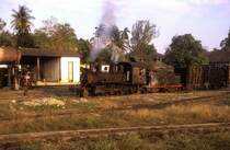 1236  Pepito Tey  22.03.01