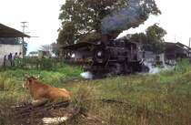 1808  Cuba Libre  08.03.96