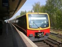 BR 481 als S1 nach S-Bahnhof Oranienburg im S-Bahnhof Berlin Wollankstra�e.