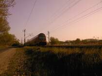 RB 28328 nach Nauen bei der Ausfahrt aus Bestensee in Richtung Norden. N�chster Halt Zeesen. Schublok war 143 158-6. Aufgenommen um 17:30 kurz hinter dem Bahnhof.