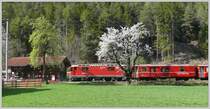 Ge 4/4 II 625  K�blis  vor der einsamen Station Trin in der Rheinschlucht. (17.04.2009)