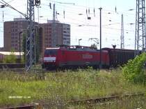 Eine Hollandlatz 189 mit Containerzug in Eisenh�ttenstadt.02.08.07
