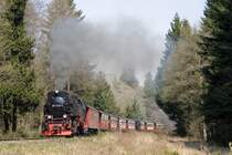 Drei Annen Hohne im April 2009