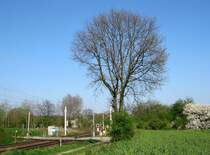 Der B� am Km 9.8 an der Kbs 140 am 16.04.09. 