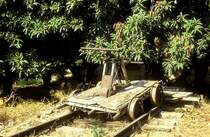 Draisine  Beirut Khodr  17.09.93