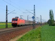 145 051-9 mit einem Containerzug am 25.4.2009 bei Glaubitz. Man beachte auch das Vogelnest im linken Masten! Offensichtlich wohnt dort ein Zugvogel ^^