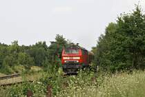 218 461-2 am 22.08.2007 mit einer RB nach L�beck Hbf bei L�beck-K�cknitz.