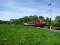 Ein sehr gr�ner IR Konstanz-Biel im Gr�nen zwischen Berg und Kehlhof. Dies ist eine der Kehren, in denen sich die Strecke �ber den Seer�cken windet. Zuglok ist die Re 460 072  Reuss . (25.April 2009)