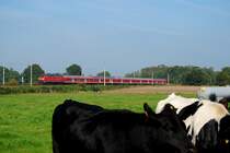 218 mit RB von Bad Oldesloe nach Hamburg kurz hinterm Haltepunkt Kupferm�hle.