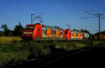 101 139 + 054  bei Kornwestheim  03.07.01  mit G�terzug