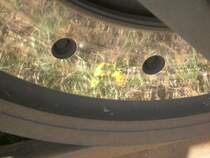 Leider kann ich zu dem Bl�mchen keine Angaben machen. Das Rad hingegen geh�rt zu 285 102-0 der hvle. Tag der offenen T�r im Rbf Wustermark, 2009-05-01.