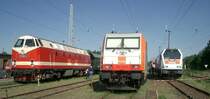 Spieglein, Spieglein an der Wand, wer ist die Sch�nste im ganzen Land? 119 158-4 (Dampflokfreunde Berlin), 285 102-0 (hvle) und 264 004-3 (hvle) am Tag der offenen T�r im Rbf Wustermark. 2009-05-01.