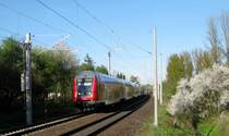 RE 21427 L�beck Hbf - Hamburg Hbf beim passieren eines bl�henden Fliederbusches kurz vor Reinfeld (Holst.) am 20.04.09.