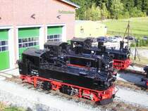 99 1604-0, 99 1566-1 und 99 1562-0 beim IV K Treffen der Pressnitztalbahn. (05.10.08)