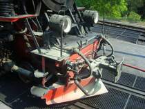 Schnee im Sommer, oder wie soll man es nennen^^
Am 1. Mai waren die Bl�ten besondern aktiv und vertreuten ihr ganzes Gut. Die Sitze der Personenwagen waren ebenfalls gut bedeckt.