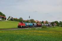294 624 am 15.05.2009 mit G�terzug unterhalb von Gebenbach (Strecke Amberg-Schnaittenbach)