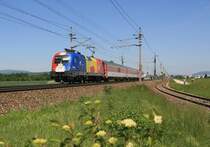 1116 056  Rum�nien  unterwegs mit dem EC101 Joze Pleznik auf der Westbahn bei H�rsching. Aufgenommen am 17. Mai 2009.