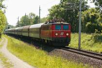 Die �BB - Nostalgielok 1141 024 unterwegs auf der Marchtrenker Schleife mit einem Sonderzug bestehend aus 12 slowenischen RIC - Waggons. Das Foto entstand am 17. mai 2009.