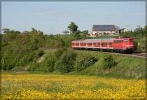 110 454-6 war am 7.05.2009 mit ihrer RB auf der Strecke Donauw�rth-Aalen unterwegs. Hier hat sie mit ihrem Zug gerade den Bahnhof Goldsh�fe verlassen und f�hrt durch die bl�henden Wiesen in Aalen-Oberalfingen hindurch dem Zielbahnhof Aalen entgegen.