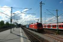 1116 242 & der Kyoto-Stier (1016 023) am 16.05.09 in M�nchen-Trudering (BB-Treffen), leider als zweite - daf�r ist der Mast ganz drauf :)