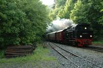 99 6001-4 bei der Einfahrt in M�gdesprung am 22.05.08