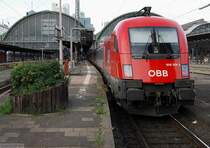Rindvieh (II). Geschafft, nach 9 Stunden und 7 Minuten kann 1016 004-2 EC 112 in K�rze aufs Abstellgleis bringen. (23. Mai 2009)