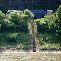 Rindvieh (V). Roter Teppich zum Rhein. Irgendwie hat man aber auch den Eindruck, zwei bunte Rindviecher im Gr�nen zu sehen. Ob dieser Eindruck auch die Werbestrategen der �BB dazu veranlasste die Wortmarke Taurus anzumelden? Ein g'studierter Senn mit guten Ideen? (Am Rheinkilometer 545,6; 23. Mai 2009)