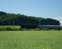 ... nach dem Planhalt in Eichenberg ging es dann weiter Richtung Kassel. Hier kurz nach der Ausfahrt aus Eichenberg. 31.05.2009.